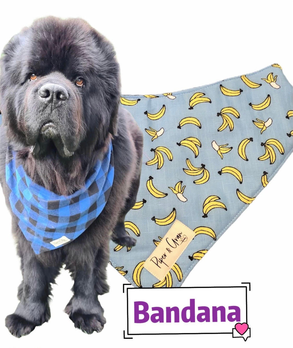 Bandana for giant dogs big dog gentle giant saint bernard