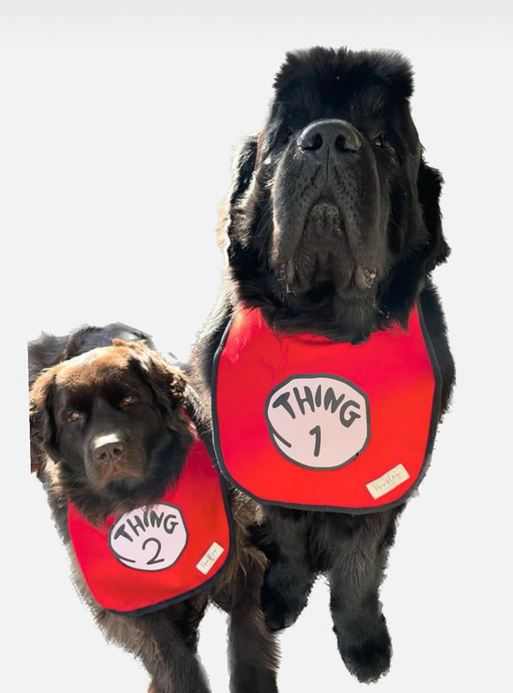 Thing one and thing two drool bib