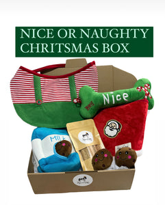 Nice or naughty Christmas Box