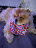 Sweet like chocolate Chow Chow bib